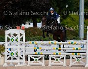 Cancogni Contessa GioCav2013 S5 1579 : Campionati Italiani Giovani Cavalli, Cancogni Daniele, Cattolica, Contessa, ph Stefano Secchi ©
