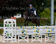 Cancogni Contessa GioCav2013 S5 1580 : Campionati Italiani Giovani Cavalli, Cancogni Daniele, Cattolica, Contessa, ph Stefano Secchi ©