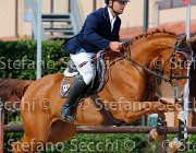 Capurso Bikamorka GioCav2013 S5 4138 : Bikamorka delle Lame, Campionati Italiani Giovani Cavalli, Capurso Beniamino, Cattolica, ph Stefano Secchi ©