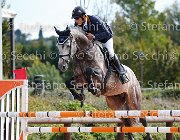 Carlino Dardonge GioCav2013 S5 3189 : Campionati Italiani Giovani Cavalli, Carlino Vincenzo, Cattolica, Dardonge, ph Stefano Secchi ©