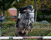 Carrassi Tamarilla GioCav2013 S5 1250 : Campionati Italiani Giovani Cavalli, Carrassi Ranieri, Cattolica, Tamarilla, ph Stefano Secchi ©