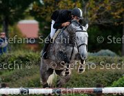 Carrassi Tamarilla GioCav2013 S5 1251 : Campionati Italiani Giovani Cavalli, Carrassi Ranieri, Cattolica, Tamarilla, ph Stefano Secchi ©