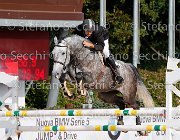 Carrassi Tamarilla GioCav2013 S5 1256 : Campionati Italiani Giovani Cavalli, Carrassi Ranieri, Cattolica, Tamarilla, ph Stefano Secchi ©