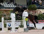 Casadei Chablis GioCav2013 S5 2678 : Campionati Italiani Giovani Cavalli, Casadei Mirco, Cattolica, Chablis, ph Stefano Secchi ©