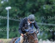 Casadei Chablis GioCav2013 S5 2689 : Campionati Italiani Giovani Cavalli, Casadei Mirco, Cattolica, Chablis, ph Stefano Secchi ©