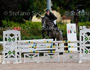 Casadei viola GioCav2013 S5 1056 : Campionati Italiani Giovani Cavalli, Casadei Mirco, Cattolica, ph Stefano Secchi ©, viola di san giovanni