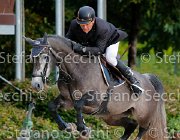 Casadei viola GioCav2013 S5 1058 : Campionati Italiani Giovani Cavalli, Casadei Mirco, Cattolica, ph Stefano Secchi ©, viola di san giovanni