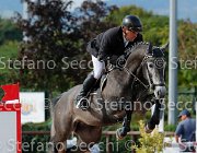 Casadei viola GioCav2013 S5 3856 : Campionati Italiani Giovani Cavalli, Casadei Mirco, Cattolica, ph Stefano Secchi ©, viola di san giovanni