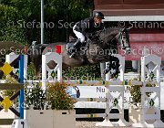 Casadei viola GioCav2013 S5 3860 : Campionati Italiani Giovani Cavalli, Casadei Mirco, Cattolica, ph Stefano Secchi ©, viola di san giovanni