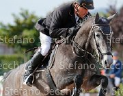 Casadei viola GioCav2013 S5 3863 : Campionati Italiani Giovani Cavalli, Casadei Mirco, Cattolica, ph Stefano Secchi ©, viola di san giovanni