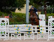 Caselli Belanda GioCav2013 S5 1097 : Belanda, Campionati Italiani Giovani Cavalli, Caselli Andrea, Cattolica, ph Stefano Secchi ©