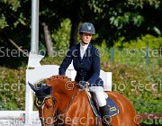 Cherubini Norma GioCav2013 S5 1224 : Campionati Italiani Giovani Cavalli, Cattolica, Cherubini Veronica, Norma, ph Stefano Secchi ©
