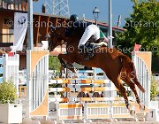 Cherubini Norma GioCav2013 S5 1226 : Campionati Italiani Giovani Cavalli, Cattolica, Cherubini Veronica, Norma, ph Stefano Secchi ©