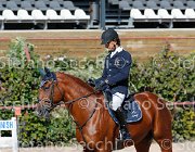 CHIAUDANI Sly GioCav2013 S5 1751 : CHIAUDANI Natale, Campionati Italiani Giovani Cavalli, Cattolica, Sly della Magnifica, ph Stefano Secchi ©