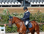 CHIAUDANI Sly GioCav2013 S5 1752 : CHIAUDANI Natale, Campionati Italiani Giovani Cavalli, Cattolica, Sly della Magnifica, ph Stefano Secchi ©