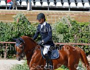 CHIAUDANI Sly GioCav2013 S5 1754 : CHIAUDANI Natale, Campionati Italiani Giovani Cavalli, Cattolica, Sly della Magnifica, ph Stefano Secchi ©