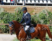 CHIAUDANI Sly GioCav2013 S5 1755 : CHIAUDANI Natale, Campionati Italiani Giovani Cavalli, Cattolica, Sly della Magnifica, ph Stefano Secchi ©