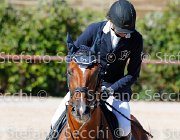 CHIAUDANI Sly GioCav2013 S5 1757 : CHIAUDANI Natale, Campionati Italiani Giovani Cavalli, Cattolica, Sly della Magnifica, ph Stefano Secchi ©