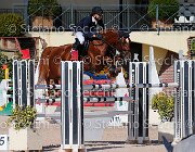 CHIAUDANI Sly GioCav2013 S5 1767 : CHIAUDANI Natale, Campionati Italiani Giovani Cavalli, Cattolica, Sly della Magnifica, ph Stefano Secchi ©