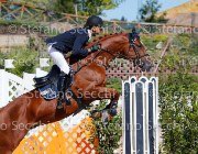 CHIAUDANI Sly GioCav2013 S5 1768 : CHIAUDANI Natale, Campionati Italiani Giovani Cavalli, Cattolica, Sly della Magnifica, ph Stefano Secchi ©