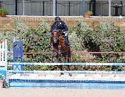 CHIAUDANI Sly GioCav2013 S5 1774 : CHIAUDANI Natale, Campionati Italiani Giovani Cavalli, Cattolica, Sly della Magnifica, ph Stefano Secchi ©