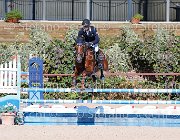 CHIAUDANI Sly GioCav2013 S5 1776 : CHIAUDANI Natale, Campionati Italiani Giovani Cavalli, Cattolica, Sly della Magnifica, ph Stefano Secchi ©