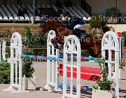 CHIAUDANI Sly GioCav2013 S5 1777 : CHIAUDANI Natale, Campionati Italiani Giovani Cavalli, Cattolica, Sly della Magnifica, ph Stefano Secchi ©