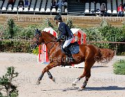 CHIAUDANI Sly GioCav2013 S5 1780 : CHIAUDANI Natale, Campionati Italiani Giovani Cavalli, Cattolica, Sly della Magnifica, ph Stefano Secchi ©
