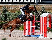 CHIAUDANI Sly GioCav2013 S5 1781 : CHIAUDANI Natale, Campionati Italiani Giovani Cavalli, Cattolica, Sly della Magnifica, ph Stefano Secchi ©