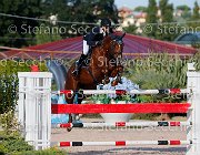 CHIAUDANI Sly GioCav2013 S5 4625 : CHIAUDANI Natale, Horses, Sly della Magnifica, ph Stefano Secchi ©