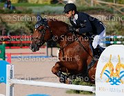 CHIAUDANI Sly GioCav2013 S5 4628 : CHIAUDANI Natale, Horses, Sly della Magnifica, ph Stefano Secchi ©