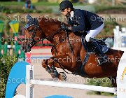 CHIAUDANI Sly GioCav2013 S5 4629 : CHIAUDANI Natale, Horses, Sly della Magnifica, ph Stefano Secchi ©