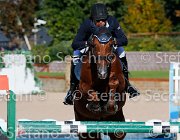 CHIAUDANI Sly GioCav2013 S5 4630 : CHIAUDANI Natale, Horses, Sly della Magnifica, ph Stefano Secchi ©
