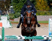 CHIAUDANI Sly GioCav2013 S5 4631 : CHIAUDANI Natale, Horses, Sly della Magnifica, ph Stefano Secchi ©
