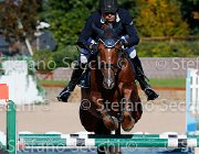 CHIAUDANI Sly GioCav2013 S5 4632 : CHIAUDANI Natale, Horses, Sly della Magnifica, ph Stefano Secchi ©