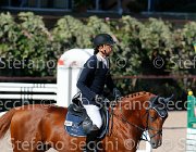 CHIAUDANI Sly GioCav2013 S5 4633 : CHIAUDANI Natale, Horses, Sly della Magnifica, ph Stefano Secchi ©