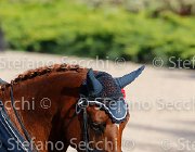 CHIAUDANI Sly GioCav2013 S5 4668 : CHIAUDANI Natale, Horses, Sly della Magnifica, ph Stefano Secchi ©