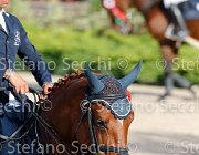 CHIAUDANI Sly GioCav2013 S5 4669 : CHIAUDANI Natale, Horses, Sly della Magnifica, ph Stefano Secchi ©