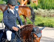 CHIAUDANI Sly GioCav2013 S5 4671 : CHIAUDANI Natale, Horses, Sly della Magnifica, ph Stefano Secchi ©