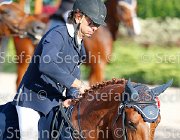 CHIAUDANI Sly GioCav2013 S5 4675 : CHIAUDANI Natale, Horses, Sly della Magnifica, ph Stefano Secchi ©