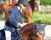 CHIAUDANI Sly GioCav2013 S5 4676 : CHIAUDANI Natale, Horses, Sly della Magnifica, ph Stefano Secchi ©