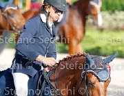 CHIAUDANI Sly GioCav2013 S5 4677 : CHIAUDANI Natale, Horses, Sly della Magnifica, ph Stefano Secchi ©