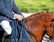 CHIAUDANI Sly GioCav2013 S5 4681 : CHIAUDANI Natale, Horses, Sly della Magnifica, ph Stefano Secchi ©