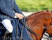 CHIAUDANI Sly GioCav2013 S5 4682 : CHIAUDANI Natale, Horses, Sly della Magnifica, ph Stefano Secchi ©