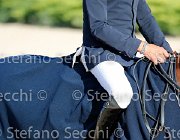 CHIAUDANI Sly GioCav2013 S5 4683 : CHIAUDANI Natale, Horses, Sly della Magnifica, ph Stefano Secchi ©