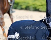 CHIAUDANI Sly GioCav2013 S5 4685 : CHIAUDANI Natale, Horses, Sly della Magnifica, ph Stefano Secchi ©