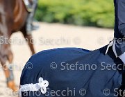 CHIAUDANI Sly GioCav2013 S5 4686 : CHIAUDANI Natale, Horses, Sly della Magnifica, ph Stefano Secchi ©