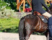 CHIAUDANI Sly GioCav2013 S5 4689 : CHIAUDANI Natale, Horses, Sly della Magnifica, ph Stefano Secchi ©