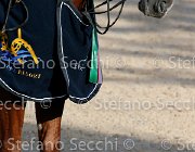 CHIAUDANI Sly GioCav2013 S5 4694 : CHIAUDANI Natale, Horses, Sly della Magnifica, ph Stefano Secchi ©