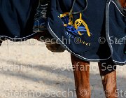 CHIAUDANI Sly GioCav2013 S5 4697 : CHIAUDANI Natale, Horses, Sly della Magnifica, ph Stefano Secchi ©